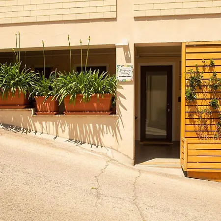 Resilienza Tropical & شقة Porto SantʼElpidio